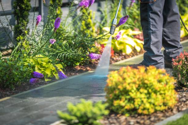 Best Pool Deck Cleaning  in Brandywine Bay, NC